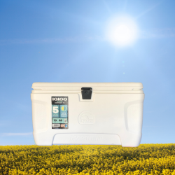 70 Qt Cooler