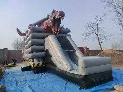 Dinosaur Bounce House