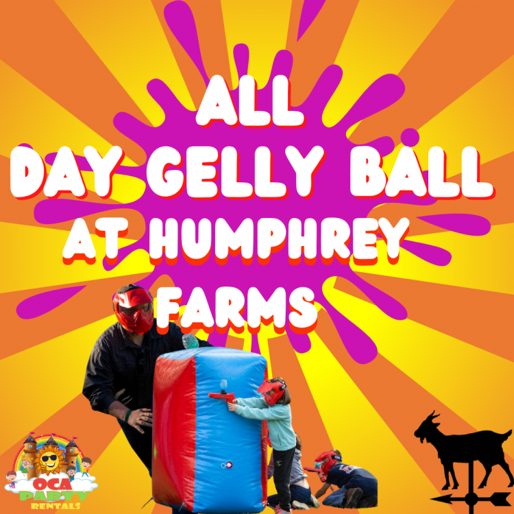 All Day GELLY BALL - Humphrey Farms