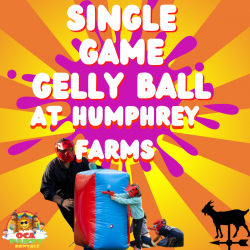 Single Game GELLY BALL - Humphrey Farm